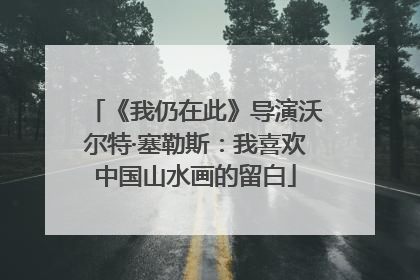 《我仍在此》导演沃尔特·塞勒斯：我喜欢中国山水画的留白