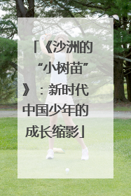 《沙洲的“小树苗”》：新时代中国少年的成长缩影