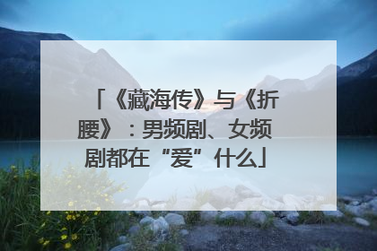 《藏海传》与《折腰》：男频剧、女频剧都在“爱”什么