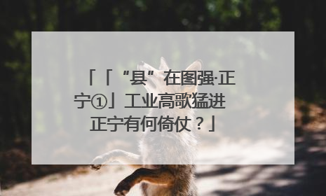 「“县”在图强·正宁①」工业高歌猛进 正宁有何倚仗？