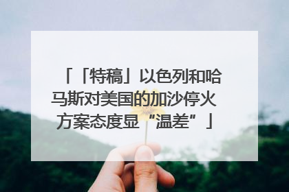「特稿」以色列和哈马斯对美国的加沙停火方案态度显“温差”