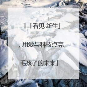 「看见·新生」，用爱与科技点亮毛孩子的未来