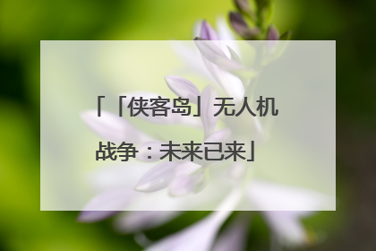 「侠客岛」无人机战争：未来已来