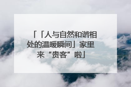 「人与自然和谐相处的温暖瞬间」家里来“贵客”啦