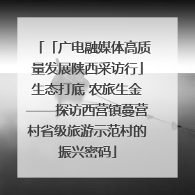 「广电融媒体高质量发展陕西采访行」生态打底 农旅生金——探访西营镇蔓营村省级旅游示范村的振兴密码