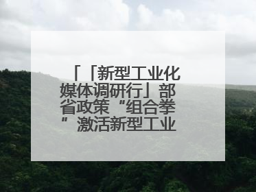 「新型工业化媒体调研行」部省政策“组合拳”激活新型工业化华东样板