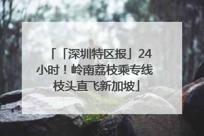 「深圳特区报」24小时！岭南荔枝乘专线 枝头直飞新加坡