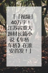 「视频」40万字！江苏省重大题材长篇小说《车桥 车桥》在淮安首发！