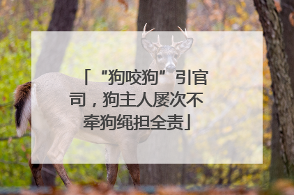 “狗咬狗”引官司，狗主人屡次不牵狗绳担全责