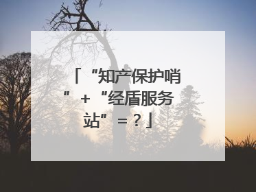 “知产保护哨”+“经盾服务站”=？