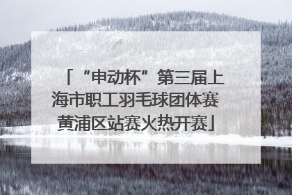 “申动杯”第三届上海市职工羽毛球团体赛黄浦区站赛火热开赛