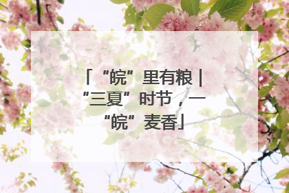 “皖”里有粮｜“三夏”时节，一“皖”麦香