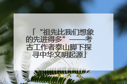 “祖先比我们想象的先进得多”——考古工作者泰山脚下探寻中华文明起源