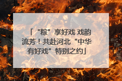 “粽”享好戏 戏韵流芳！共赴河北“中华有好戏”特别之约