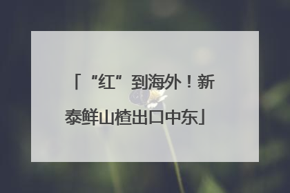 “红”到海外！新泰鲜山楂出口中东
