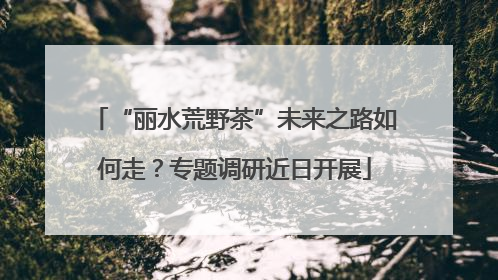 “丽水荒野茶”未来之路如何走？专题调研近日开展