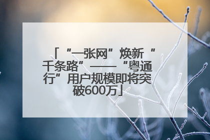 “一张网”焕新“千条路”——“粤通行”用户规模即将突破600万