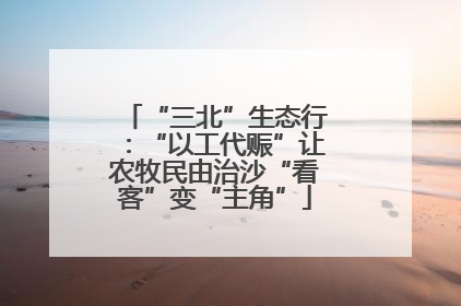 “三北”生态行：“以工代赈”让农牧民由治沙“看客”变“主角”