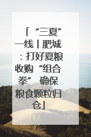 “三夏”一线丨肥城：打好夏粮收购“组合拳” 确保粮食颗粒归仓