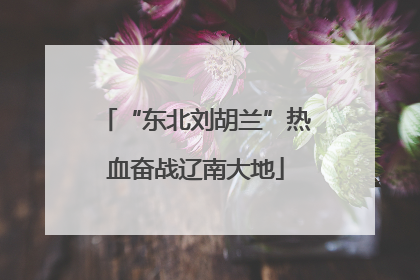 “东北刘胡兰”热血奋战辽南大地