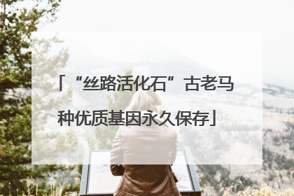 “丝路活化石”古老马种优质基因永久保存