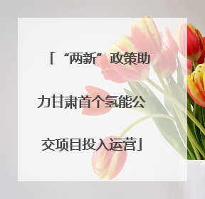 “两新”政策助力甘肃首个氢能公交项目投入运营