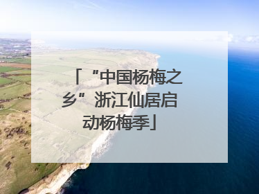 “中国杨梅之乡”浙江仙居启动杨梅季