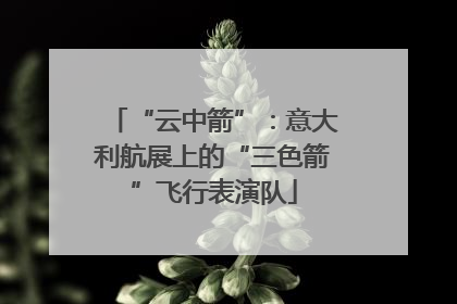 “云中箭”：意大利航展上的“三色箭”飞行表演队