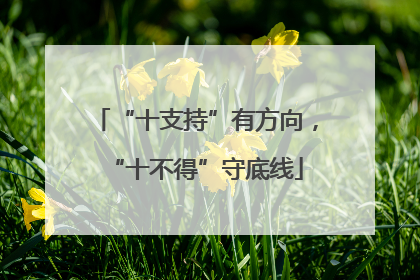 “十支持”有方向，“十不得”守底线