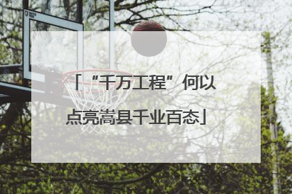 “千万工程”何以点亮嵩县千业百态