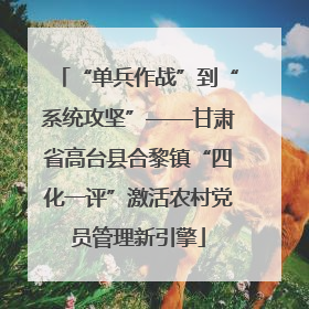 “单兵作战”到“系统攻坚”——甘肃省高台县合黎镇“四化一评”激活农村党员管理新引擎