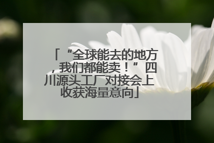 “全球能去的地方，我们都能卖！”四川源头工厂对接会上收获海量意向