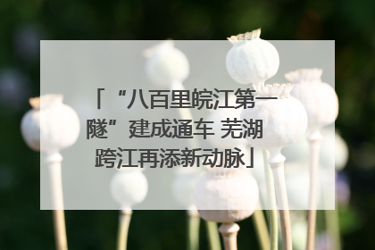 “八百里皖江第一隧”建成通车 芜湖跨江再添新动脉