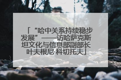 “哈中关系持续稳步发展”——访哈萨克斯坦文化与信息部副部长叶夫根尼·科切托夫