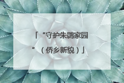 “守护朱鹮家园”（侨乡新貌）