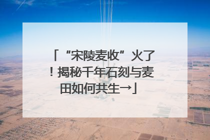 “宋陵麦收”火了！揭秘千年石刻与麦田如何共生→