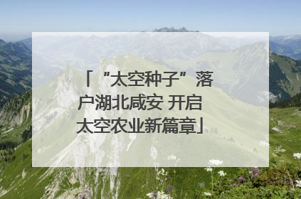 “太空种子”落户湖北咸安 开启太空农业新篇章