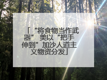 “将食物当作武器” 美以“把手伸到”加沙人道主义物资分发