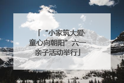 “小家筑大爱·童心向朝阳”六一亲子活动举行