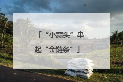 “小蒜头”串起“金链条”