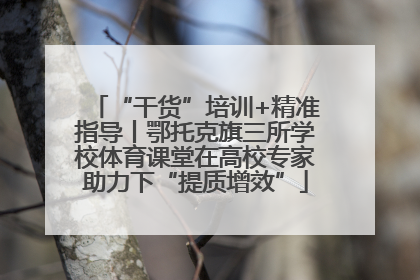 “干货”培训+精准指导丨鄂托克旗三所学校体育课堂在高校专家助力下“提质增效”