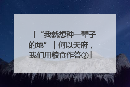 “我就想种一辈子的地”｜何以天府，我们用粮食作答②