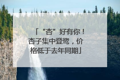 “杏”好有你！杏子集中登鹭，价格低于去年同期