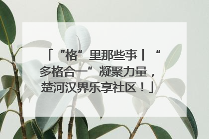 “格”里那些事丨“多格合一”凝聚力量，楚河汉界乐享社区！