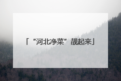 “河北净菜”靓起来