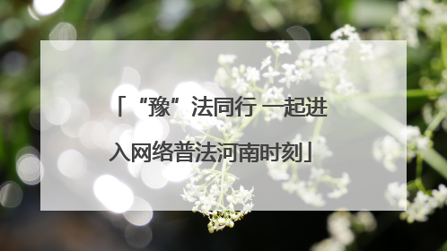 “豫”法同行 一起进入网络普法河南时刻