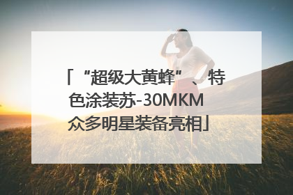 “超级大黄蜂”、特色涂装苏-30MKM 众多明星装备亮相