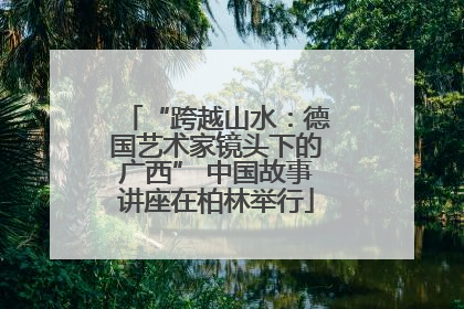 “跨越山水：德国艺术家镜头下的广西” 中国故事讲座在柏林举行