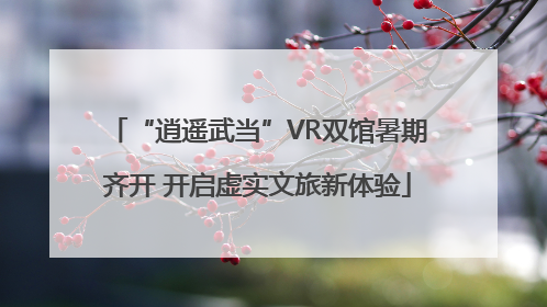 “逍遥武当”VR双馆暑期齐开 开启虚实文旅新体验