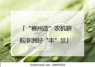 “郴州造”农机耕耘非洲好“丰”景